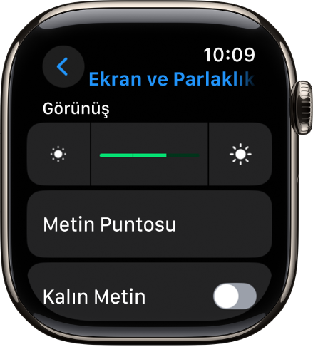 En üstte Parlaklık sürgüsü ve onun altında Metin Puntosu düğmesi olmak üzere Apple Watch’taki Ekran ve Parlaklık ayarları.