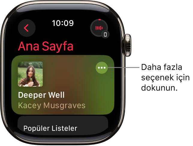 Müzik uygulaması, bir albümün gösterildiği ana ekranı gösteriyor. Daha Fazla Seçenek düğmesi sağda. Sağ üst tarafta Şu An Çalınan düğmesi var. Geri düğmesi sol üstte.