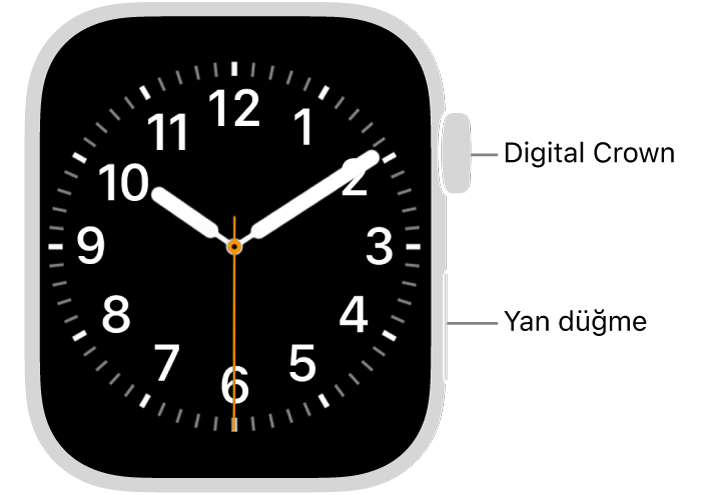 Saatin sağ tarafında, en üstte gösterilen Digital Crown ve sağ altta gösterilen yan düğme ile Apple Watch’un önü.