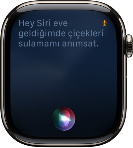 Siri ekranı, bir anımsatıcı ayarlama isteğini gösteriyor.
