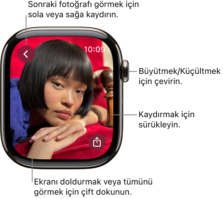 Bir fotoğrafı görüntülerken büyütmek veya küçültmek için Digital Crown’u çevirin, kaydırmak için sürükleyin veya fotoğrafın tümünü görüntülemek ile ekranı doldurmak arasında geçiş yapmak için çift dokunun. Sonraki fotoğrafı görmek için sağa veya sola kaydırın. Paylaş düğmesi sağ altta.