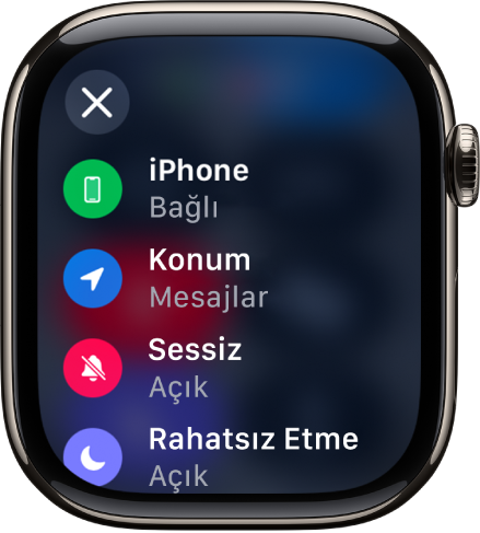 iPhone’un bağlı olduğunu, konumun Mesajlar tarafından kullanıldığını, Sessiz Mod’un açık olduğunu ve Rahatsız Etme’nin açık olduğunu gösteren durum ayrıntıları.