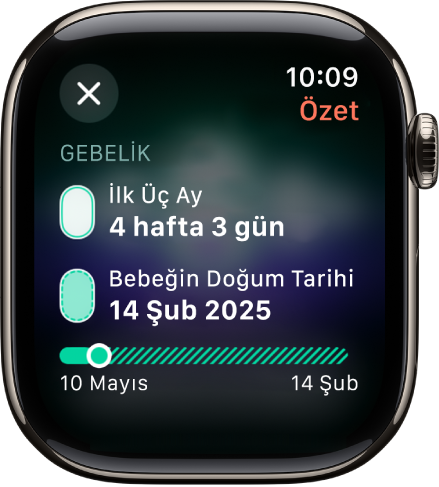 Döngü İzleme uygulamasındaki bir ekranda, bir gebelik özeti gösteriliyor. Ekranın ortasında gebelik haftası ve bebeğin doğum tarihi var.
