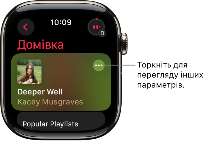 Екран програми «Музика», на якому показано початковий екран з одним альбомом. Праворуч — кнопка «Додаткові параметри». Угорі справа — кнопка «Зараз відтворюється». Угорі зліва — кнопка «Назад».