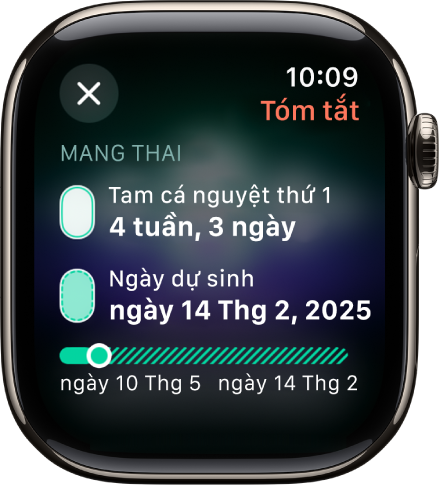 Một màn hình trong ứng dụng Theo dõi chu kỳ đang hiển thị một tóm tắt thai kỳ, với tuổi thai và ngày dự sinh ở chính giữa màn hình.