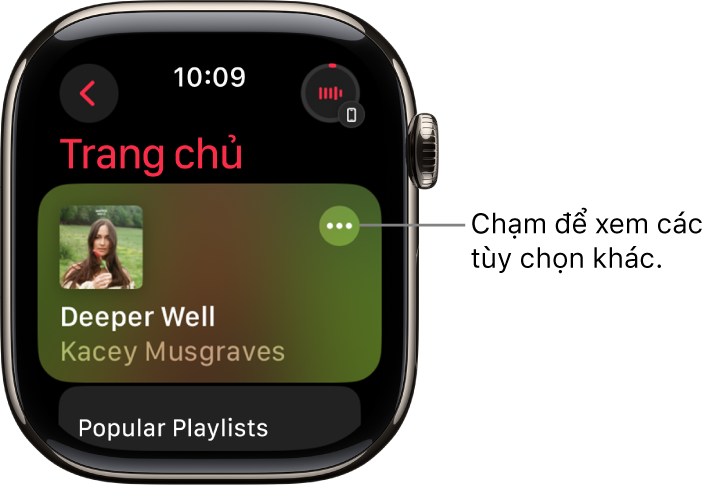 Ứng dụng Nhạc đang hiển thị màn hình Trang chủ với một album đang hiển thị. Một nút Tùy chọn khác ở bên phải. Ở trên cùng bên phải là nút Đang phát. Một nút Quay lại ở trên cùng bên trái.