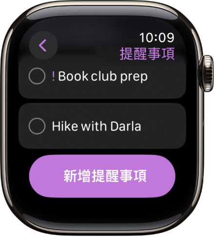 「提醒事項」App 中顯示兩個提醒事項。提醒事項位於畫面最上方附近,而「新增提醒事項」按鈕則位於下方。
