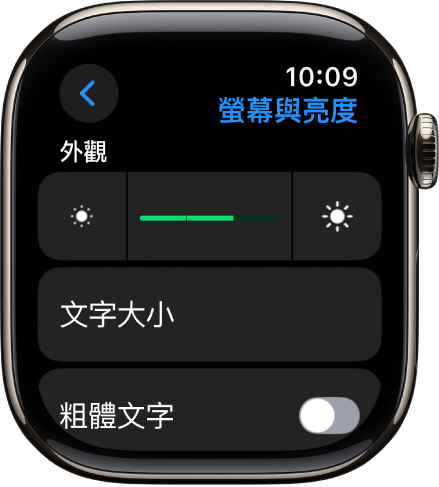 Apple Watch 上的「螢幕與亮度」設定，其中「亮度」滑桿位於最上方，「文字大小」按鈕則位於下方。