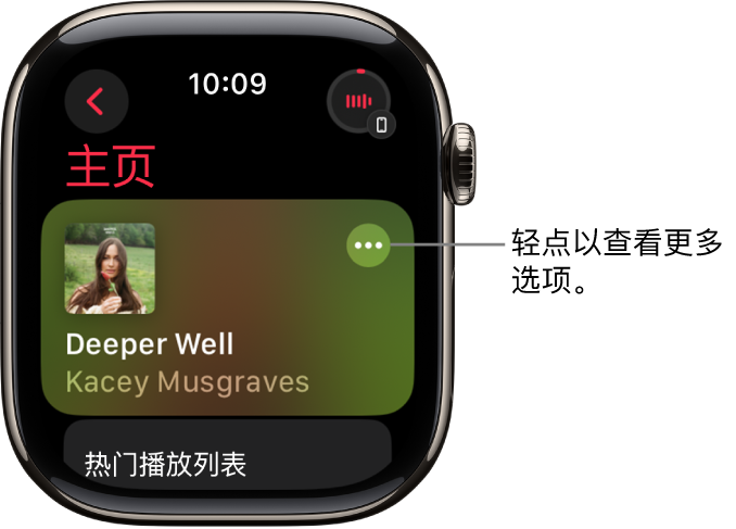 “音乐” App 显示“主页”屏幕以及一张专辑。右侧是“更多选项”按钮。右上方是“播放中”按钮。左上方为“返回”按钮。