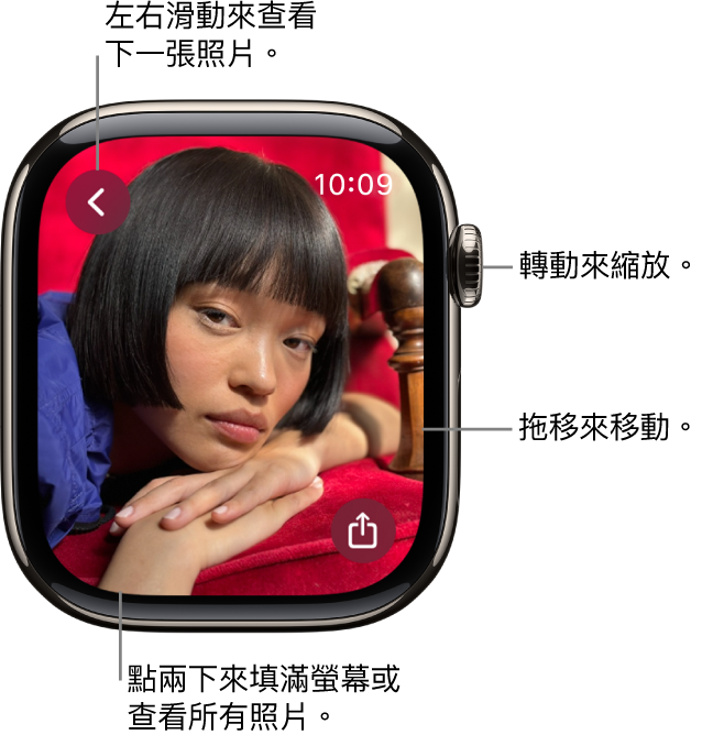 在檢視照片時,轉動數位錶冠來縮放,拖移來移動,或點兩下來在檢視所有照片和填滿螢幕之間切換。左右滑動來查看下一張照片。「分享」按鈕位於右下角。