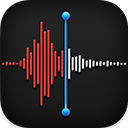 El icono de Notas de voz.