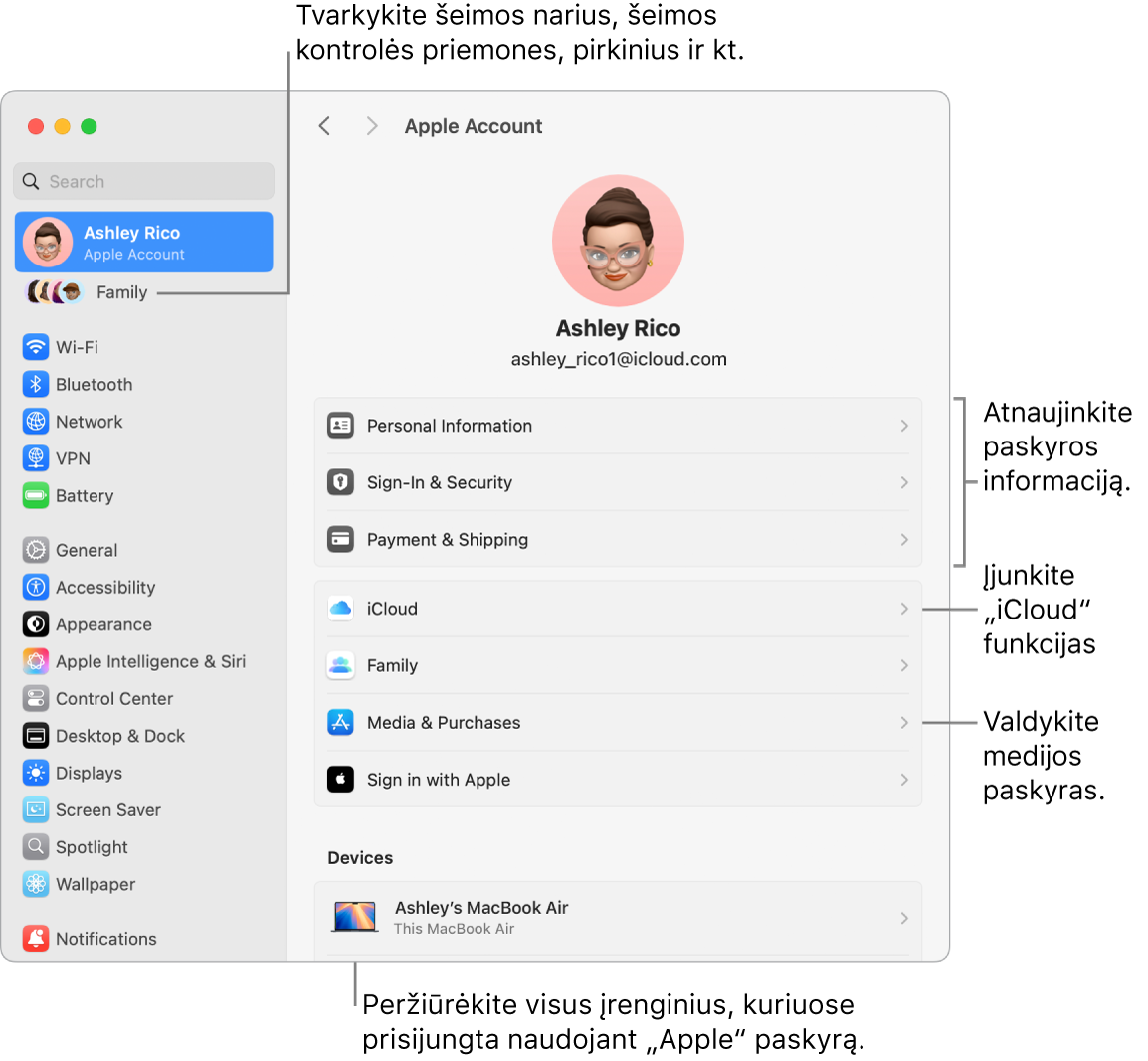 Skiltyje „Sistemos nustatymai“ pateikiami „Apple“ paskyros nustatymai su šaukiniais, skirtais atnaujinti paskyros informaciją, įjungti arba išjungti „iCloud“ funkcijas, tvarkyti medijos paskyras, ir „Šeima“, kur galite tvarkyti šeimos narius, tėvų kontrolę, pirkinius ir kt.