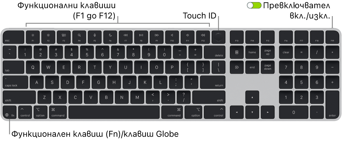 Клавиатурата Magic Keyboard с Touch ID и Numeric Keypad (Клавиатура с цифри), която показва редицата с функционални клавиши и Touch ID в горния край и клавиша Function (Fn)/Globe най-долу вляво.