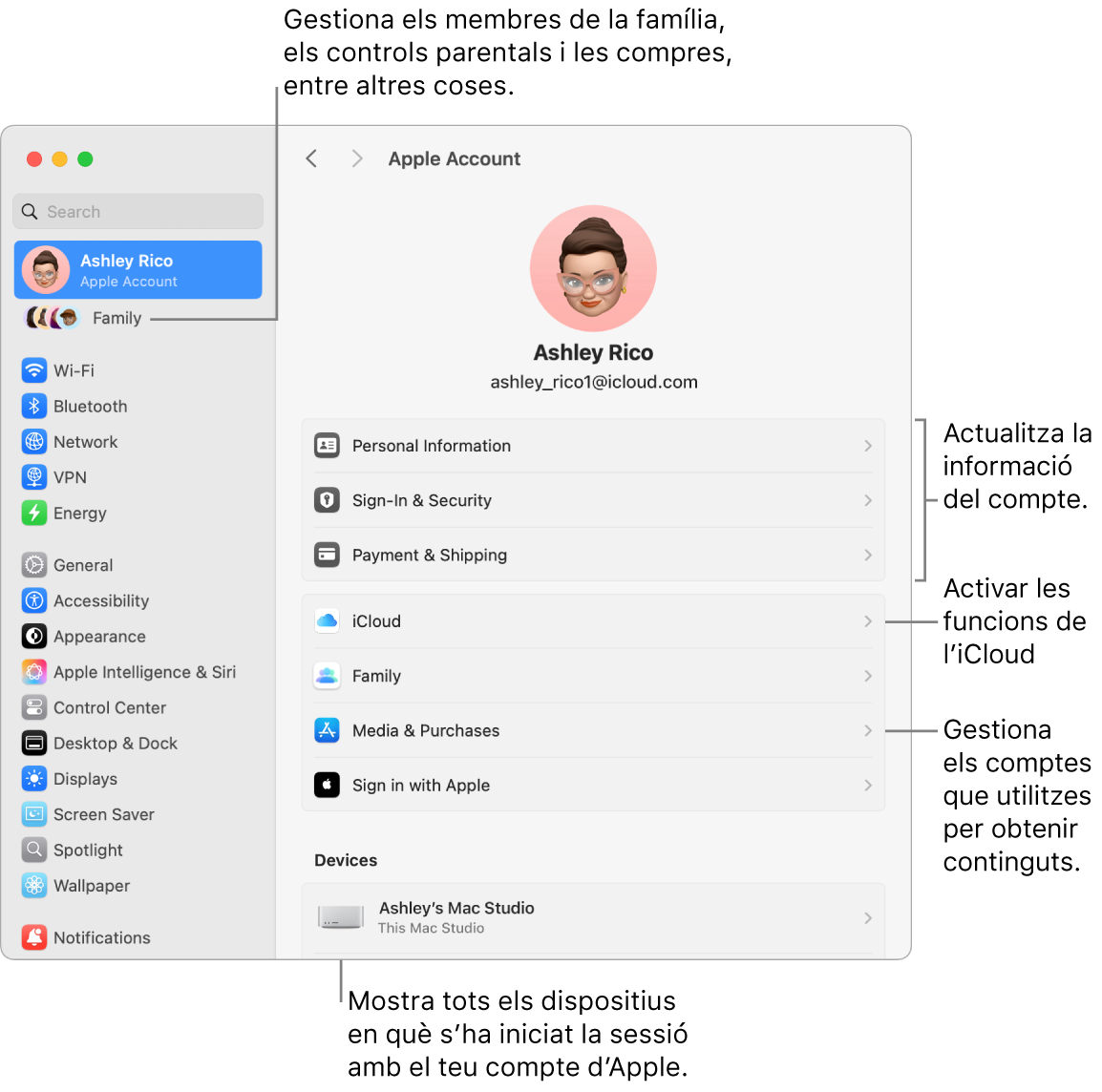 A la configuració del sistema, es veu la secció del compte d’Apple, amb opcions per actualitzar la informació del compte, activar o desactivar les funcions de l’iCloud o gestionar els comptes de contingut multimèdia, i la secció “En família”, amb opcions per configurar un grup familiar, establir controls parentals i administrar les compres, entre altres coses.