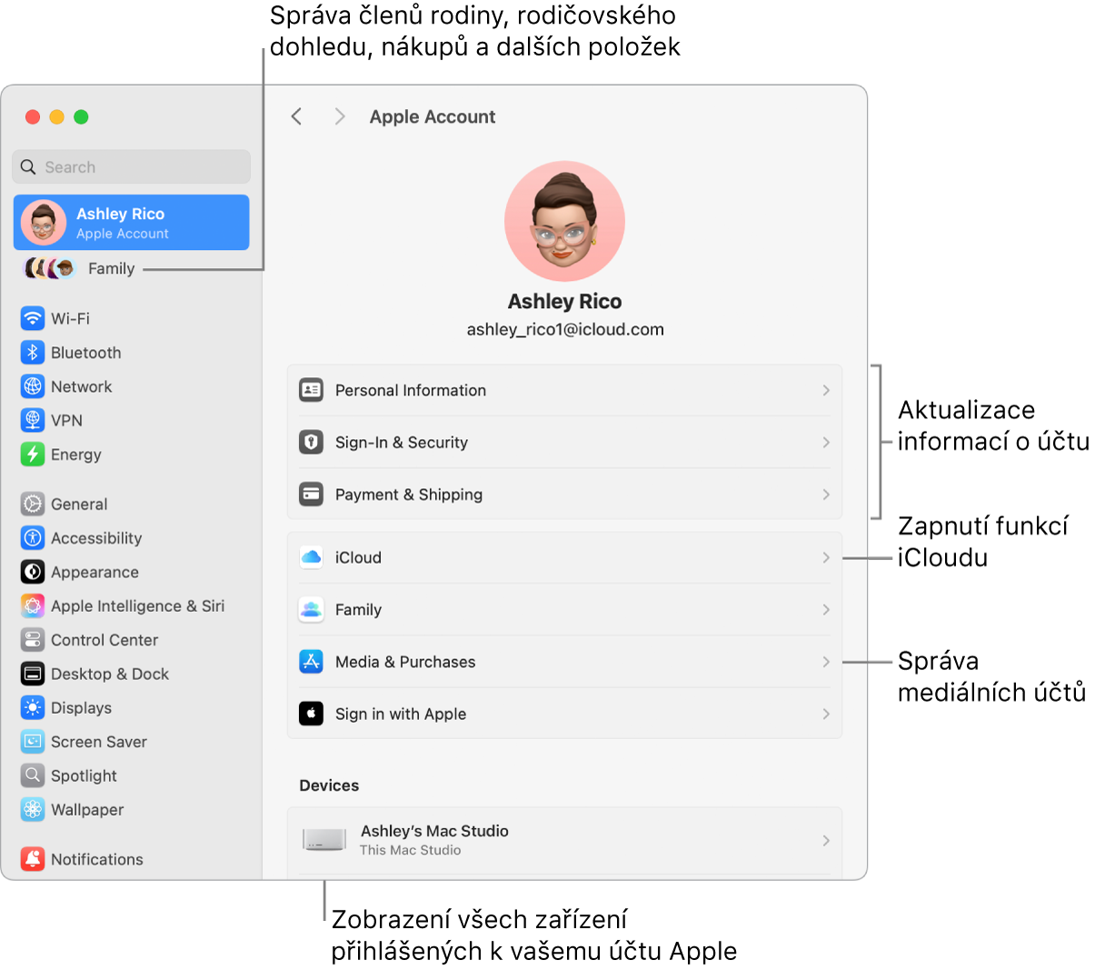 Volby účtu Apple v Nastavení systému s popisky u ovládacích prvků pro aktualizaci informací o účtu, zapnutí nebo vypnutí různých funkcí iCloudu a správu účtů pro média a u volby Rodina, která vám umožňuje spravovat členy rodiny, rodičovský dohled, nákupy a další položky