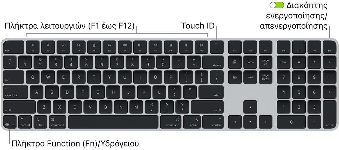 Το Magic Keyboard με Touch ID και αριθμητικό πληκτρολόγιο όπου φαίνονται η σειρά πλήκτρων λειτουργιών και το Touch ID στο πάνω μέρος, και το πλήκτρο Function (Fn)/Υδρογείου κάτω αριστερά.