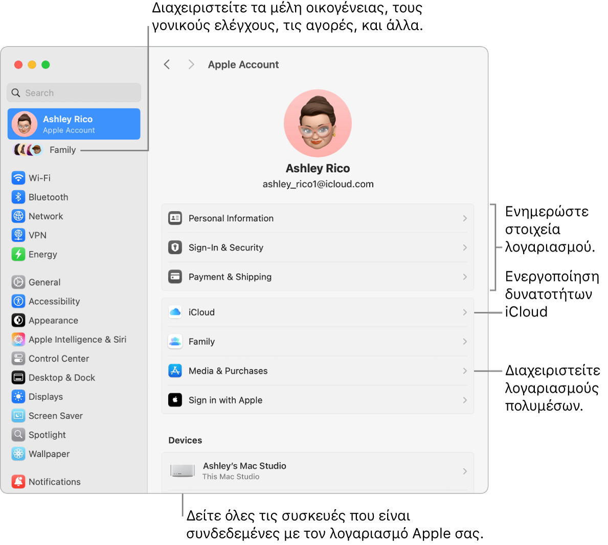 Οι ρυθμίσεις λογαριασμού Apple στις Ρυθμίσεις συστήματος με επεξηγήσεις για ενημέρωση των στοιχείων λογαριασμού, ενεργοποίηση ή απενεργοποίηση δυνατοτήτων iCloud, διαχείριση λογαριασμών πολυμέσων, και η Οικογένεια όπου μπορείτε να διαχειριστείτε τα μέλη οικογένειας, τον γονικό έλεγχο, τις αγορές και πολλά άλλα..