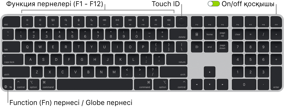 Функциялық пернелер жолын және жоғарғы жақтағы Touch ID тақтасын және төменгі сол жақтағы Function (Fn)/Globe пернесін көрсетіп тұрған Touch ID құралы және Numeric Keypad тақтасы бар Magic Keyboard пернетақтасы.