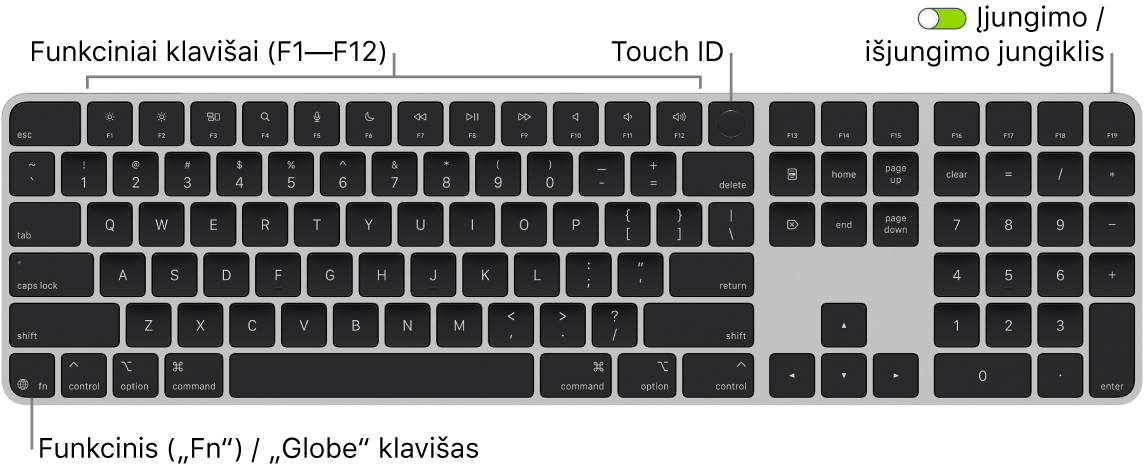 „Magic Keyboard“ su „Touch ID“ ir skaitmenų klaviatūra, viršuje matosi funkcinių klavišų eilė ir „Touch ID“, o apačioje kairėje – klavišas „Function“ („Fn“) / „Globe“.