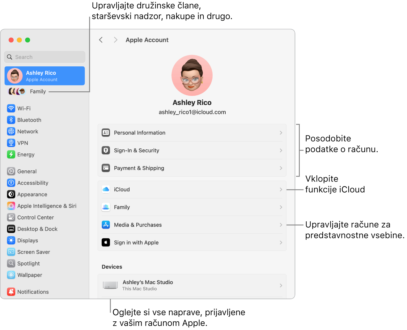 Nastavitve računa Apple v Nastavitvah sistema z oblački za posodobitev informacij o računu, vklop ali izklop funkcij iCloud, upravljanje predstavnostnih računov in Družina, kjer lahko upravljate družinske člane, starševski nadzor, nakupe in več.