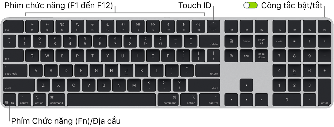 Magic Keyboard có Touch ID và Bàn phím số đang hiển thị hàng các phím chức năng, Touch ID ở trên cùng và phím Chức năng (Fn)/Địa cầu ở dưới cùng bên trái.