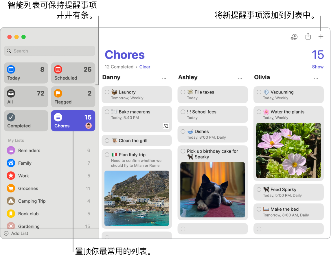 “提醒事项”窗口,左侧是智能列表,下方是其他提醒事项和列表。指针位于提醒事项中。标注框指向智能列表和“添加新提醒事项”按钮。