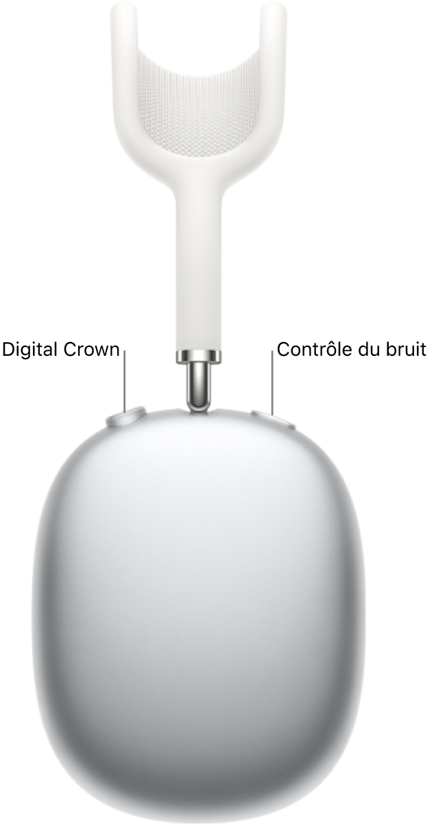 L’oreillette droite des AirPods Max, qui montre la Digital Crown en haut à gauche et le bouton de contrôle du bruit en haut à droite.