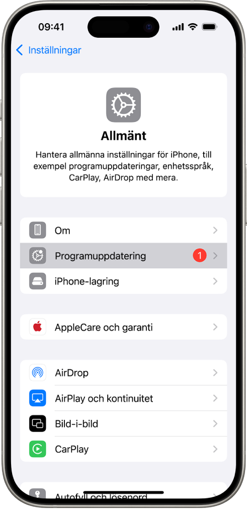 iPhone-skärmen som visar att en programuppdatering är tillgänglig.