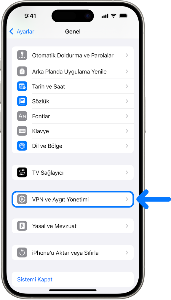 VPN ve Aygıt Yönetimi’ni seçili olarak gösteren bir iPhone ekranı.