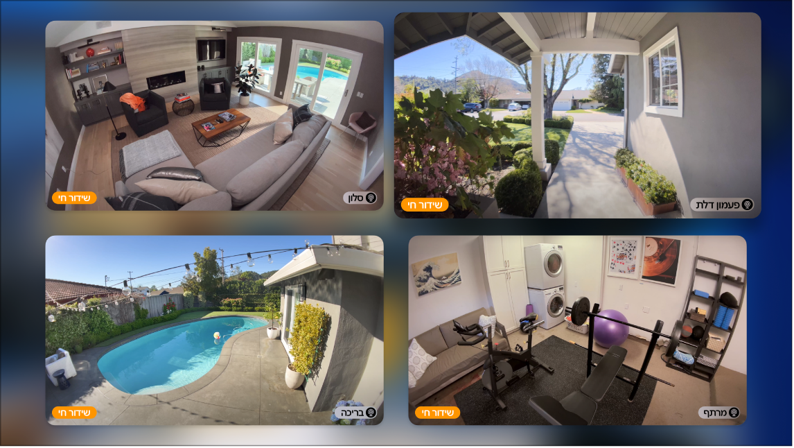 מסך Apple TV שמציג מספר מצלמות תצוגת HomeKit