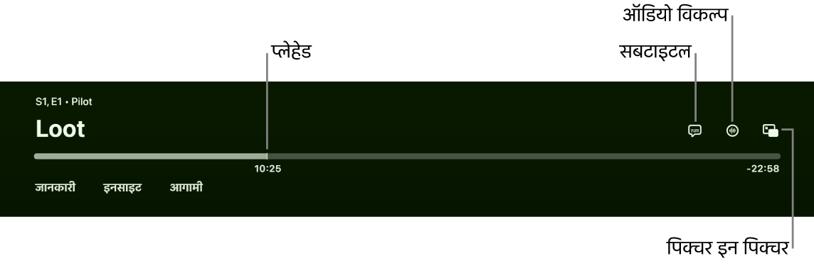 प्लेबैक कंट्रोल