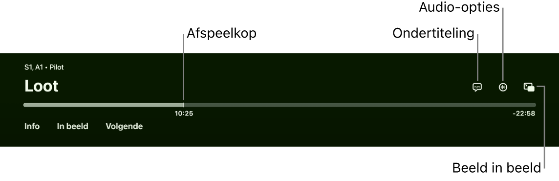 Afspeelregelaars