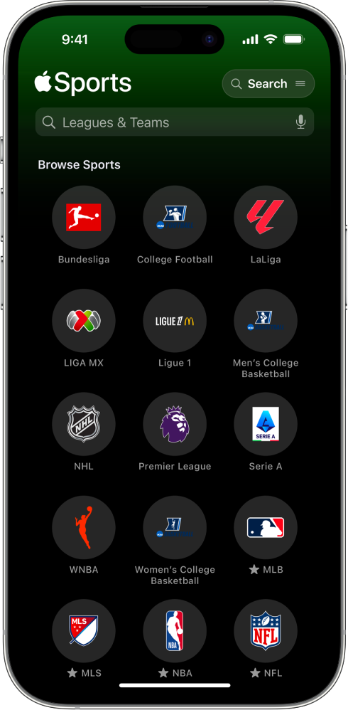 Search in the Apple Sports app