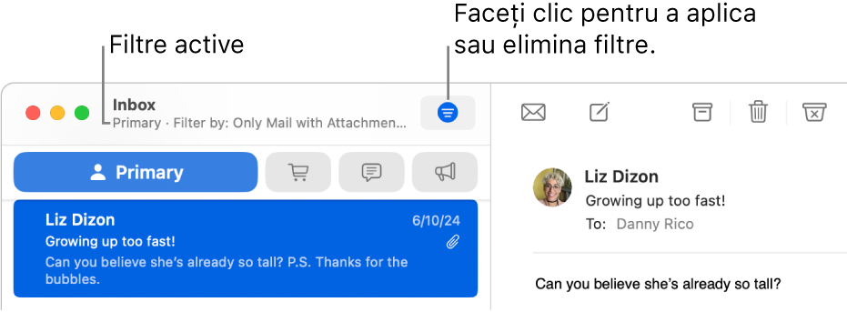 Fereastra Mail afișând bara de instrumente de deasupra listei de mesaje, unde Mail arată ce filtre (de exemplu “Doar e-mailuri cu fișiere atașate”) sunt aplicate.