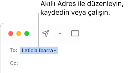 Akıllı Adresteki oku tıklayarak Akıllı Adresi düzenleyebilir, kaydedebilir veya Akıllı Adresle çalışabilirsiniz.