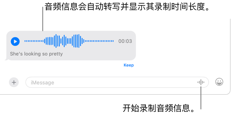 “信息”对话,“录制音频”按钮显示在窗口底部的信息栏旁边。对话中显示音频信息及其听写文本和录音长度。