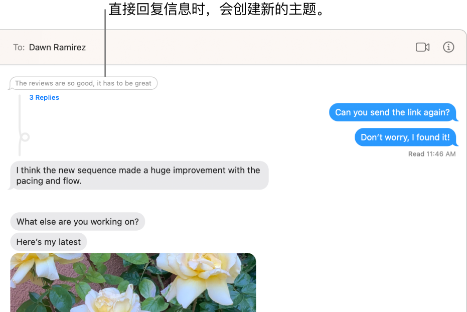 “信息”窗口显示一个对话,特定信息下方带有新主题。