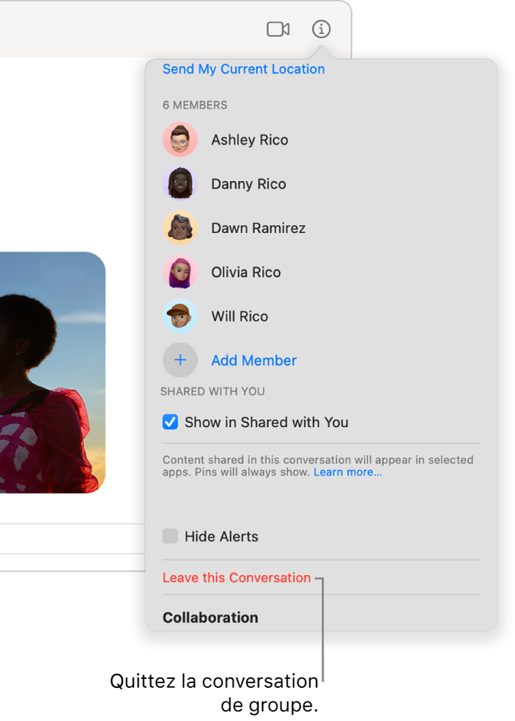 La présentation Infos qui s’affiche après que vous avez cliqué sur le bouton Infos dans une conversation. L’option Quitter cette conversation se situe vers le bas de la zone de dialogue.