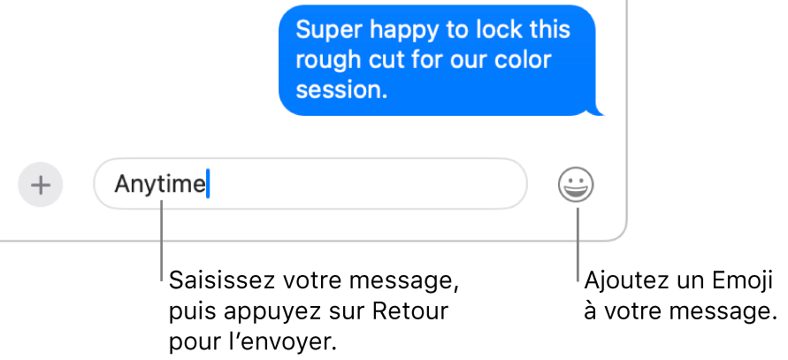Une transcription dans la fenêtre Messages avec la zone de message affichée au bas de la fenêtre.