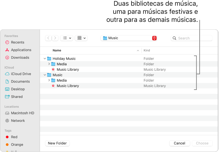 Janela do Finder mostrando várias bibliotecas: uma para músicas festivas e outra para o restante das músicas.