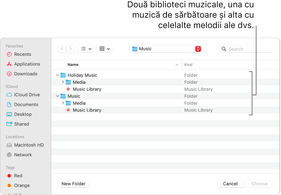 Fereastra Finder afișând mai multe biblioteci – una pentru muzica de sărbători și cealaltă pentru restul muzicii.