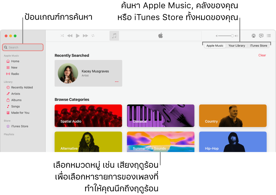 หน้าต่าง Apple Music ที่แสดงช่องค้นหาที่มุมซ้ายบนสุด รายการหมวดหมู่ที่กึ่งกลางของหน้าต่าง และ Apple Music, คลังของคุณ และ iTunes Store ที่มุมขวาบนสุด ป้อนเกณฑ์การค้นหาในช่องค้นหา จากนั้นเลือกว่าจะให้ค้นหาทั้งหมดใน Apple Music, เฉพาะคลังของคุณ หรือ iTunes Store