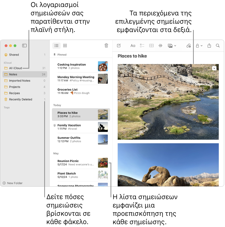 Ένα παράθυρο της εφαρμογής «Σημειώσεις» στο Mac με όλους τους διαμορφωμένους λογαριασμούς και φακέλους σας εμφανίζεται στην πλαϊνή στήλη στα αριστερά, η λίστα των σημειώσεων στη μέση εμφανίζει μια προεπισκόπηση κάθε σημείωσης και το περιεχόμενο της επιλεγμένης σημείωσης εμφανίζεται στα δεξιά. Ο αριθμός των σημειώσεων εμφανίζεται δίπλα σε κάθε φάκελο.