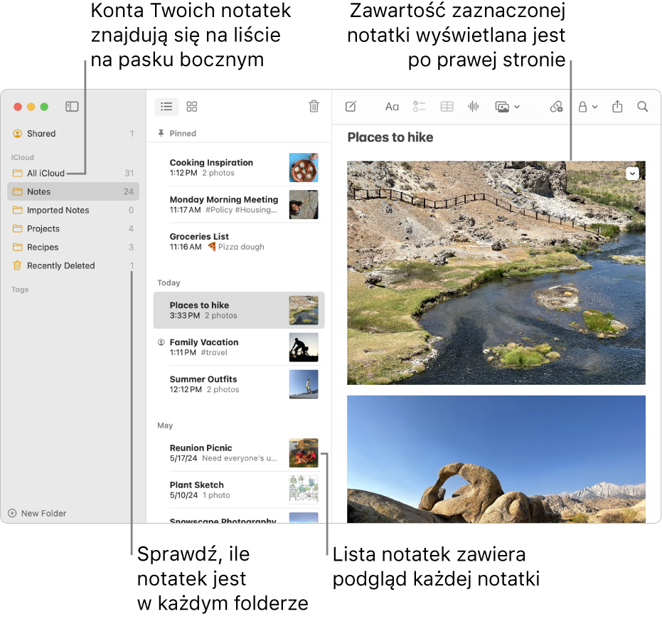 Okno aplikacji Notatki na Macu, zawierające listę wszystkich skonfigurowanych kont i folderów, widoczną na pasku bocznym po lewej. Na środku okna znajduje się lista notatek, pokazująca podgląd każdej notatki. Po prawej stronie okna widoczna jest zawartość aktualnie zaznaczonej notatki. Obok każdego folderu widoczna jest liczba znajdujących się w nim notatek.