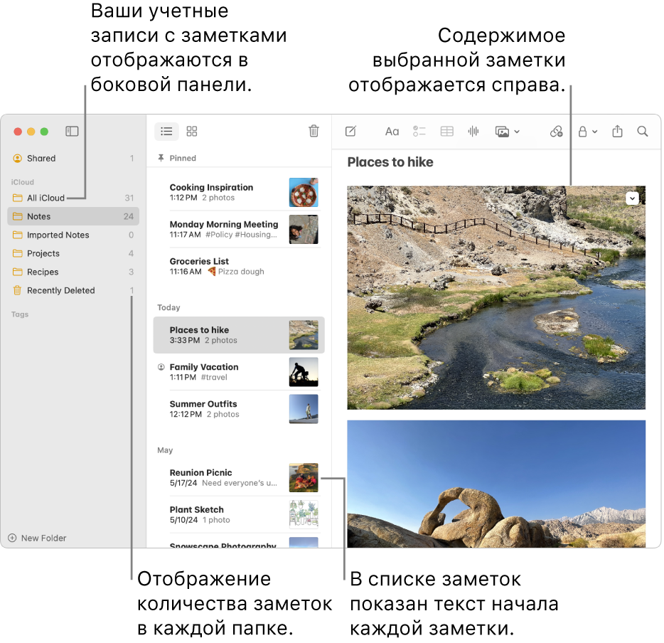 Окно приложения «Заметки» на Mac: в боковом меню слева показаны все Ваши учетные записи и папки, в центре показан список заметок с небольшим изображением каждой заметки, а справа показано содержимое выбранной заметки. Рядом с каждой папкой отображается количество заметок.