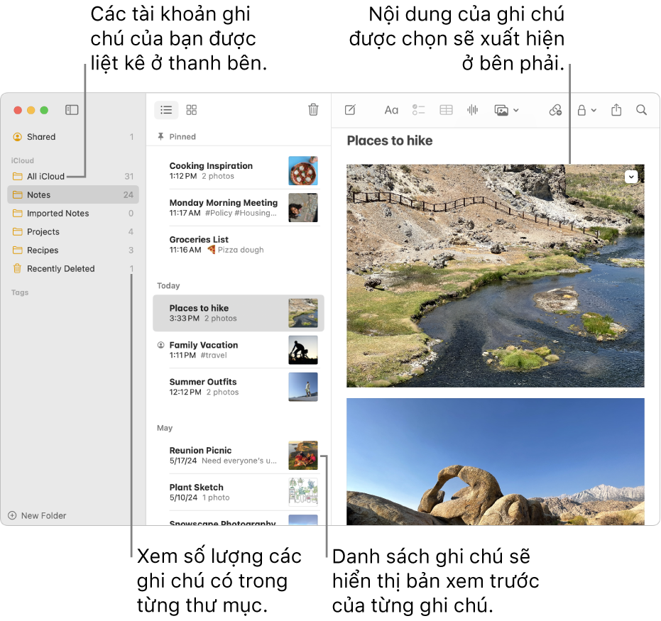 Một cửa sổ ứng dụng Ghi chú trên máy Mac chứa tất cả các tài khoản và thư mục đã định cấu hình, được liệt kê trong thanh bên trái. Danh sách ghi chú ở giữa hiển thị bản xem trước của từng ghi chú. Nội dung của ghi chú được chọn xuất hiện ở bên phải. Số lượng các ghi chú sẽ xuất hiện bên cạnh mỗi thư mục.