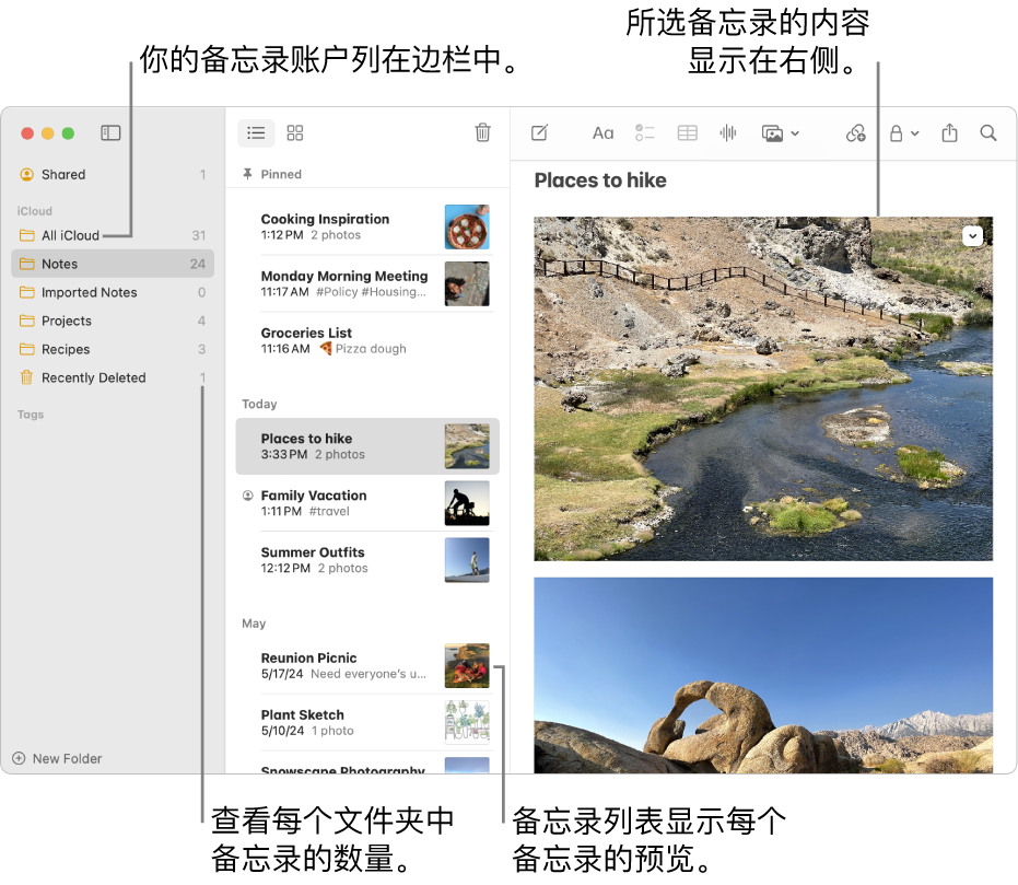 Mac 上的“备忘录” App 窗口,左侧边栏列出了所有已配置的账户和文件夹,中间的备忘录列表显示各个备忘录的预览,右侧显示所选备忘录的内容。备忘录的数量显示在每个文件夹旁边。