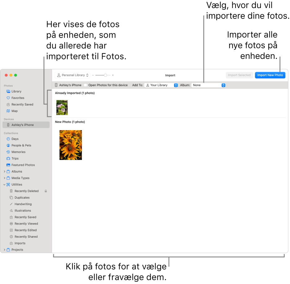 Fotos på enheden, som du allerede har importeret, vises øverst i importvinduet. Nye fotos vises nederst. Øverst i midten findes lokalmenuen Album. Knapperne Importer findes øverst til højre.