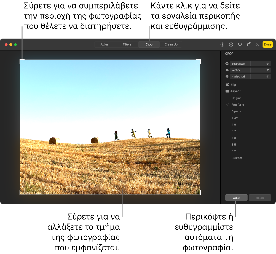 Μια φωτογραφία σε προβολή επεξεργασίας, με την «Περικοπή» επιλεγμένη στη γραμμή εργαλείων, ένα ορθογώνιο επιλογής γύρω από τη φωτογραφία, και ρυθμιστικά ισιώματος, επιλογές αναλογίας διαστάσεων, και κουμπιά «Αυτόματα» και «Επαναφορά» στα δεξιά.