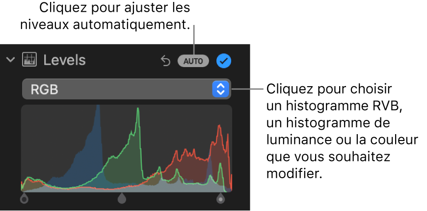 Les commandes de niveaux dans la sous-fenêtre Ajuster, affichant le bouton Auto. en haut à droite et l’histogramme RVB en dessous.